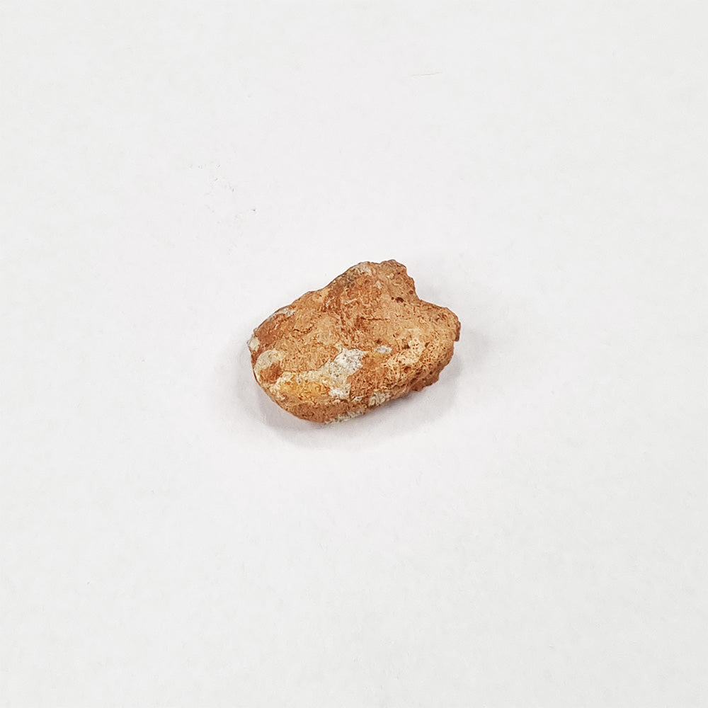 *Rare* Lunar Meteorite 1.5cm