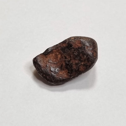 Mundrabilla Meteorite (Western Australia-1911) 9g