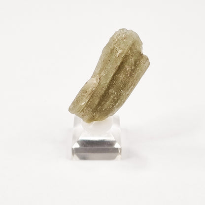 Darwin Glass Meteorite Impact Melt (Tasmania- 816,000 Years Old) 16g
