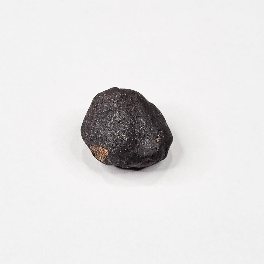 Wiluna Meteorite (Western Australia- 1967) 10g