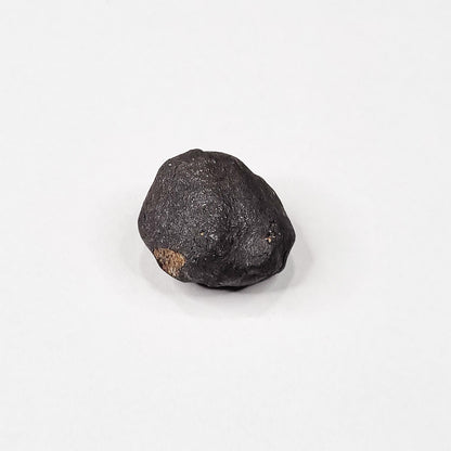 Wiluna Meteorite (Western Australia- 1967) 10g