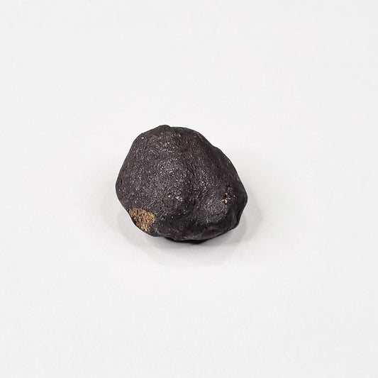 Wiluna Meteorite (Western Australia- 1967) 10g
