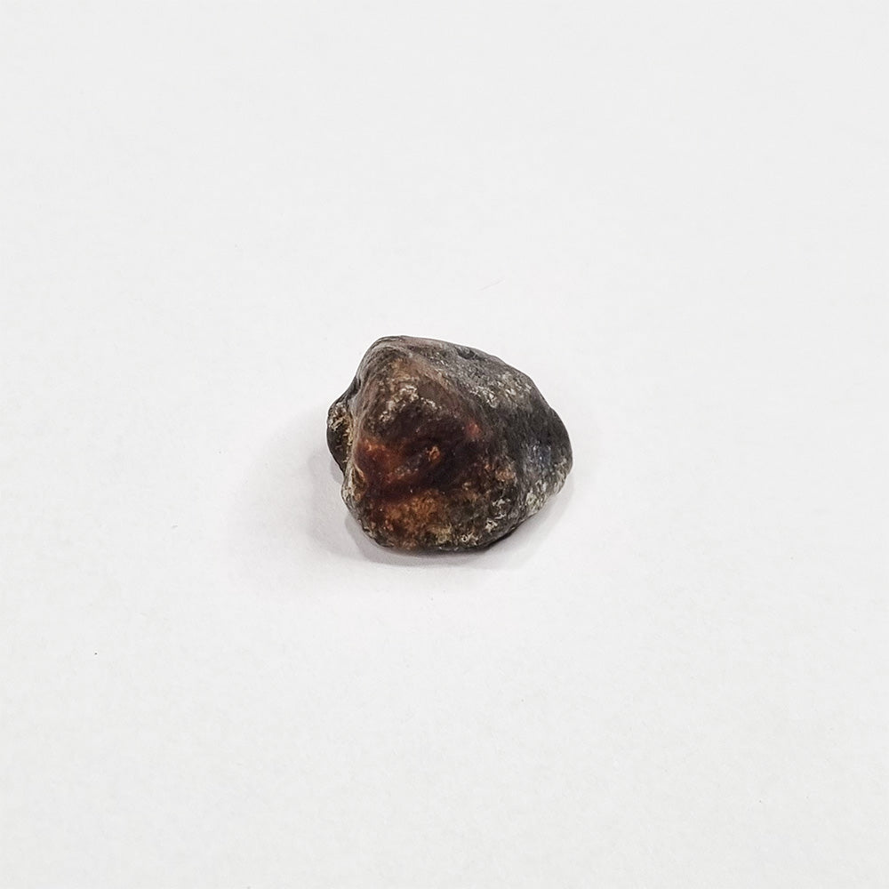 Nantan Meteorite (China- 1516) 6g