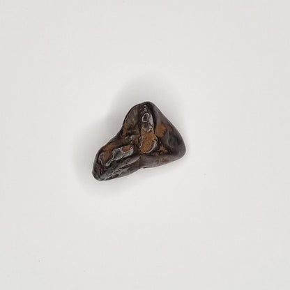 Nantan Meteorite (China- 1516) 5g