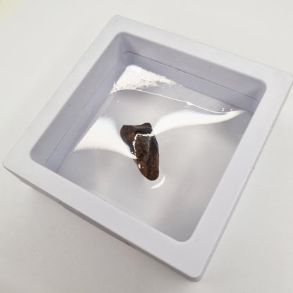 Nantan Meteorite (China- 1516) 3g