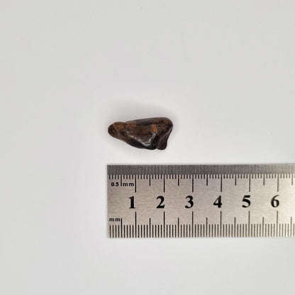 Nantan Meteorite (China- 1516) 3g