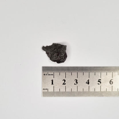Sikhote-Alin Meteorite (Siberia-1947) 5g