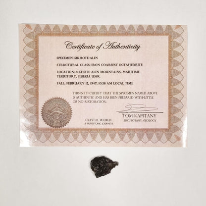 Sikhote-Alin Meteorite (Siberia-1947) 5g