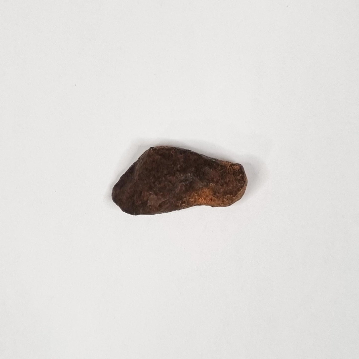 Mundrabilla Meteorite (Western Australia-1911) 23g