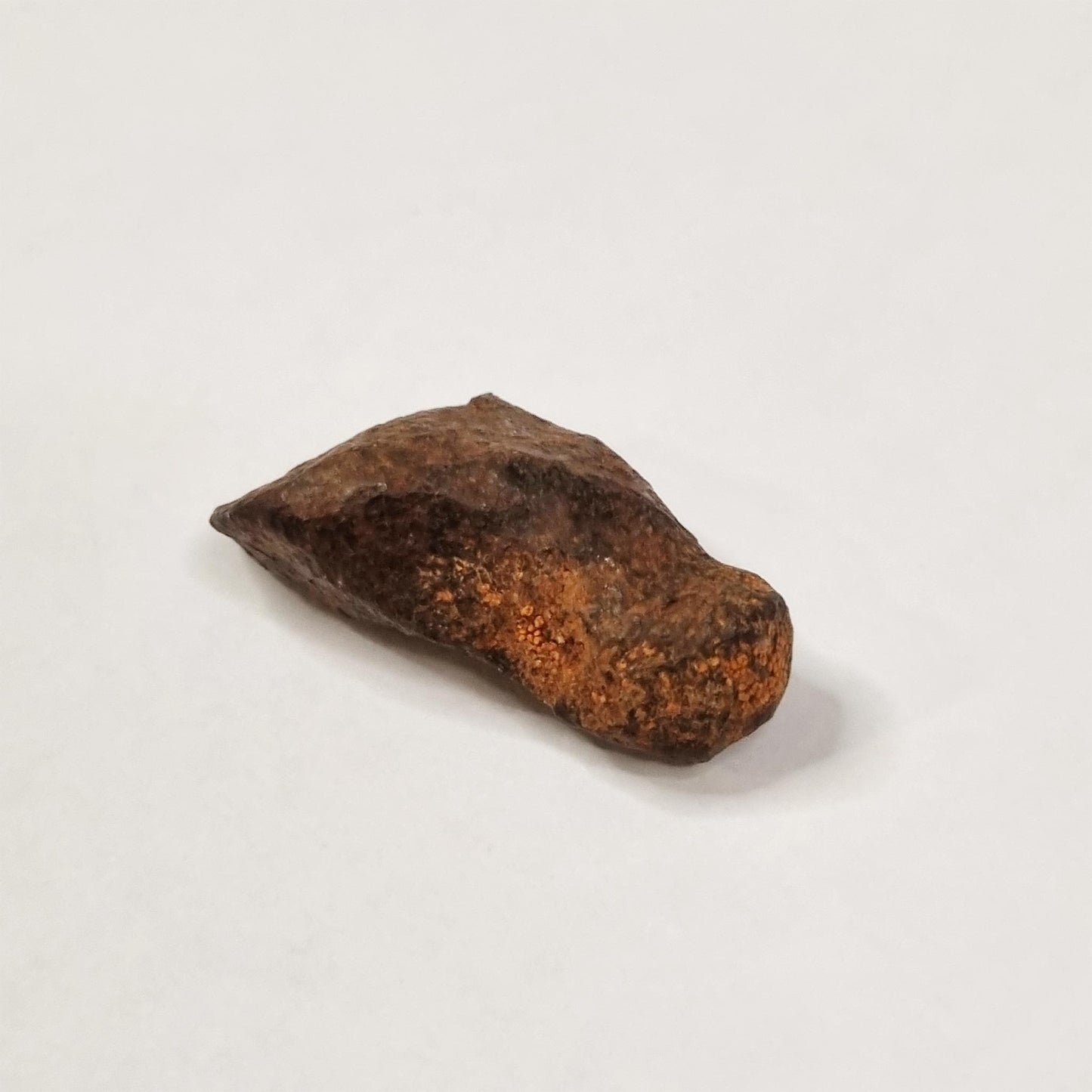 Mundrabilla Meteorite (Western Australia-1911) 23g