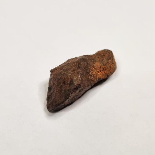 Mundrabilla Meteorite (Western Australia-1911) 23g