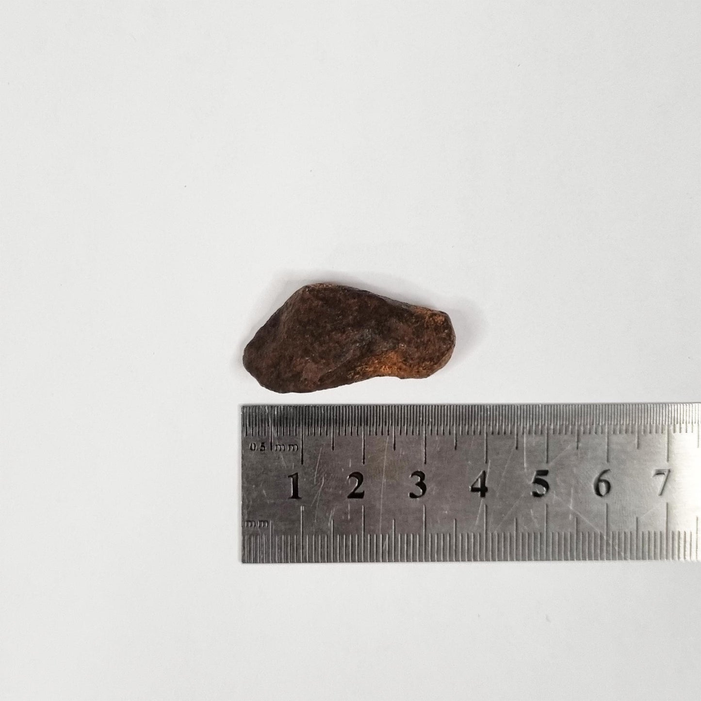 Mundrabilla Meteorite (Western Australia-1911) 23g