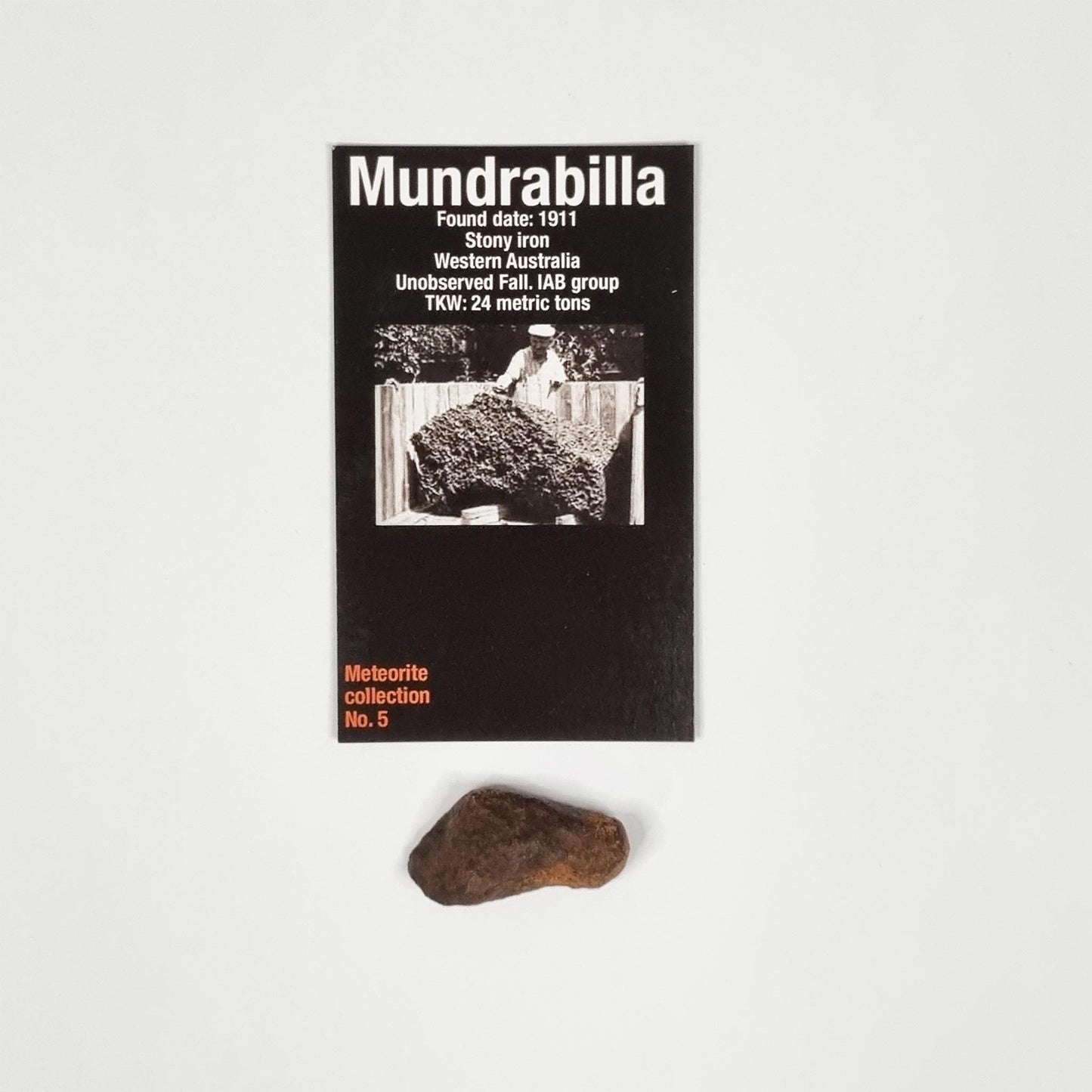 Mundrabilla Meteorite (Western Australia-1911) 23g