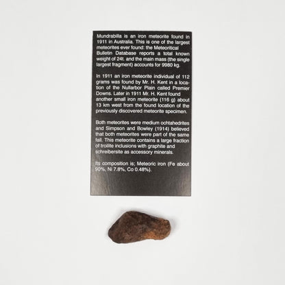 Mundrabilla Meteorite (Western Australia-1911) 23g