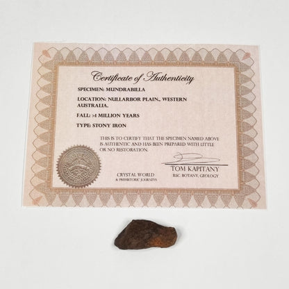 Mundrabilla Meteorite (Western Australia-1911) 23g