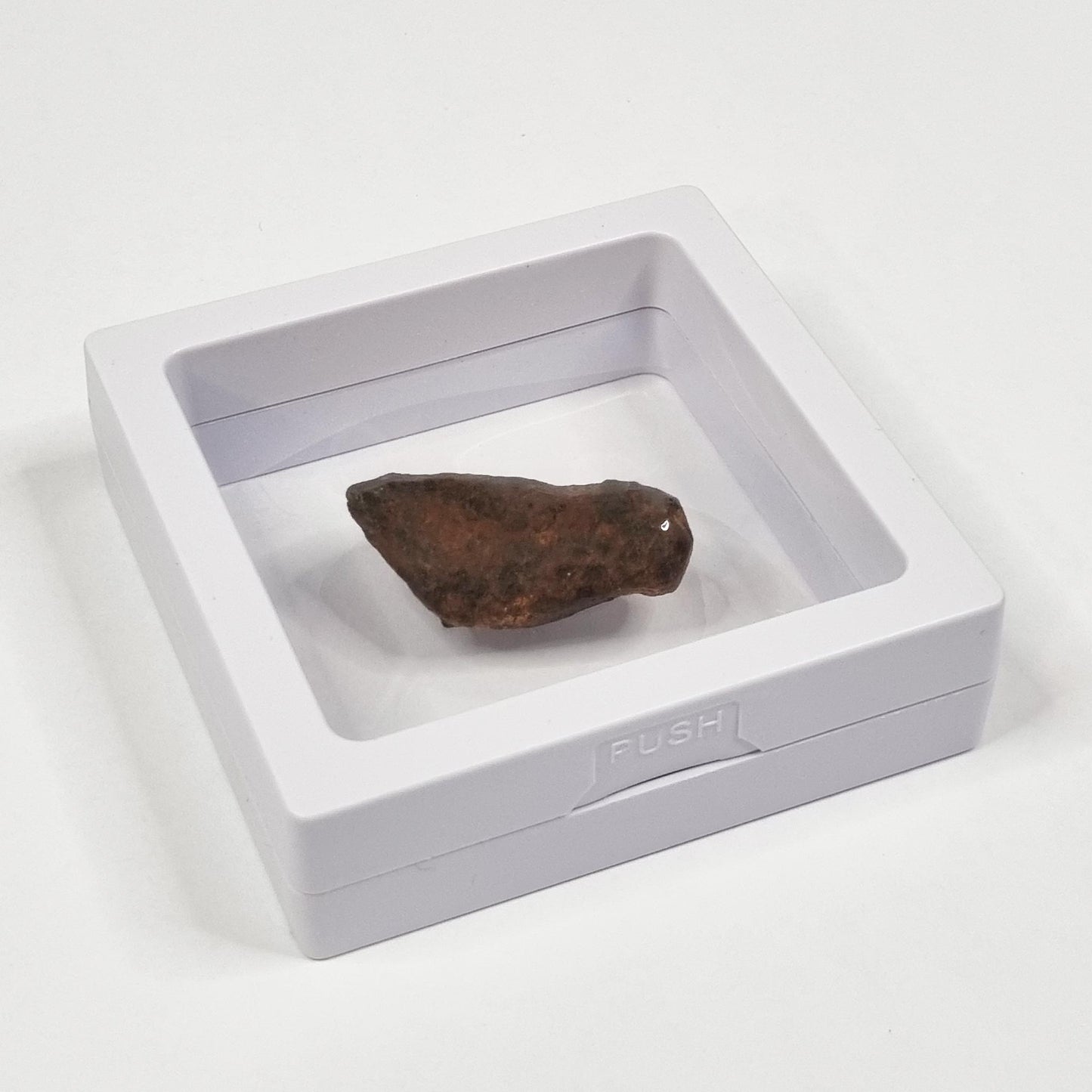 Mundrabilla Meteorite (Western Australia-1911) 23g