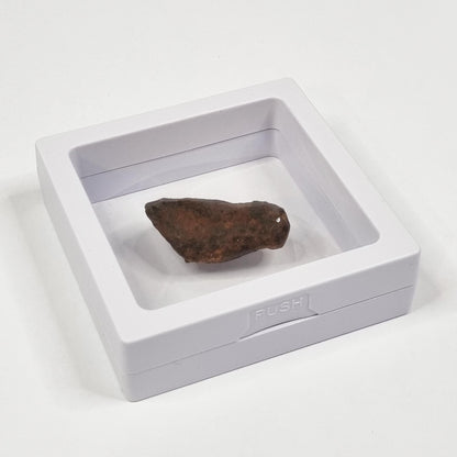 Mundrabilla Meteorite (Western Australia-1911) 23g