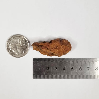 Wolf Creek Shale Ball Meteorite (Western Australia-1947) 23g