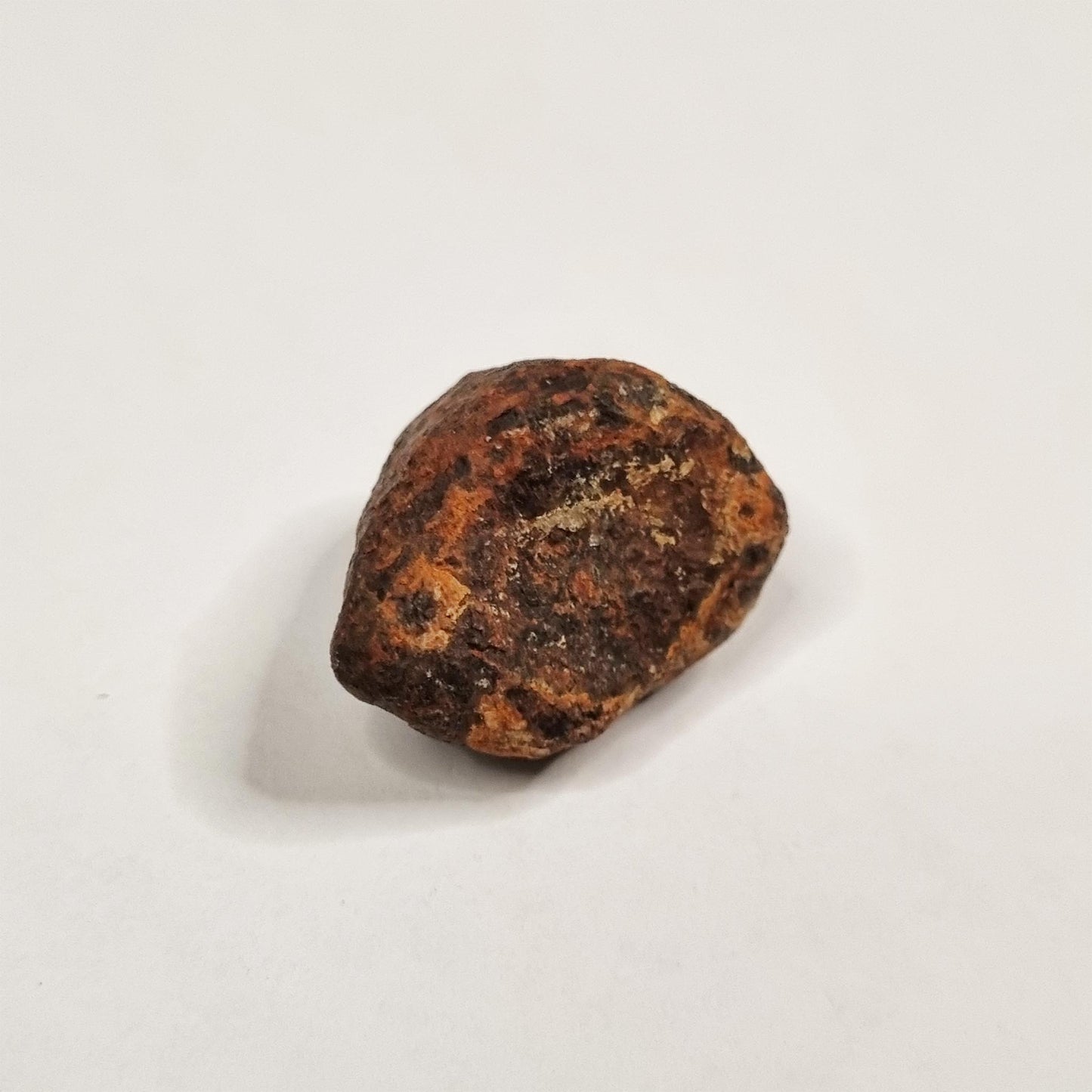 Mundrabilla Meteorite (Western Australia-1911) 35g