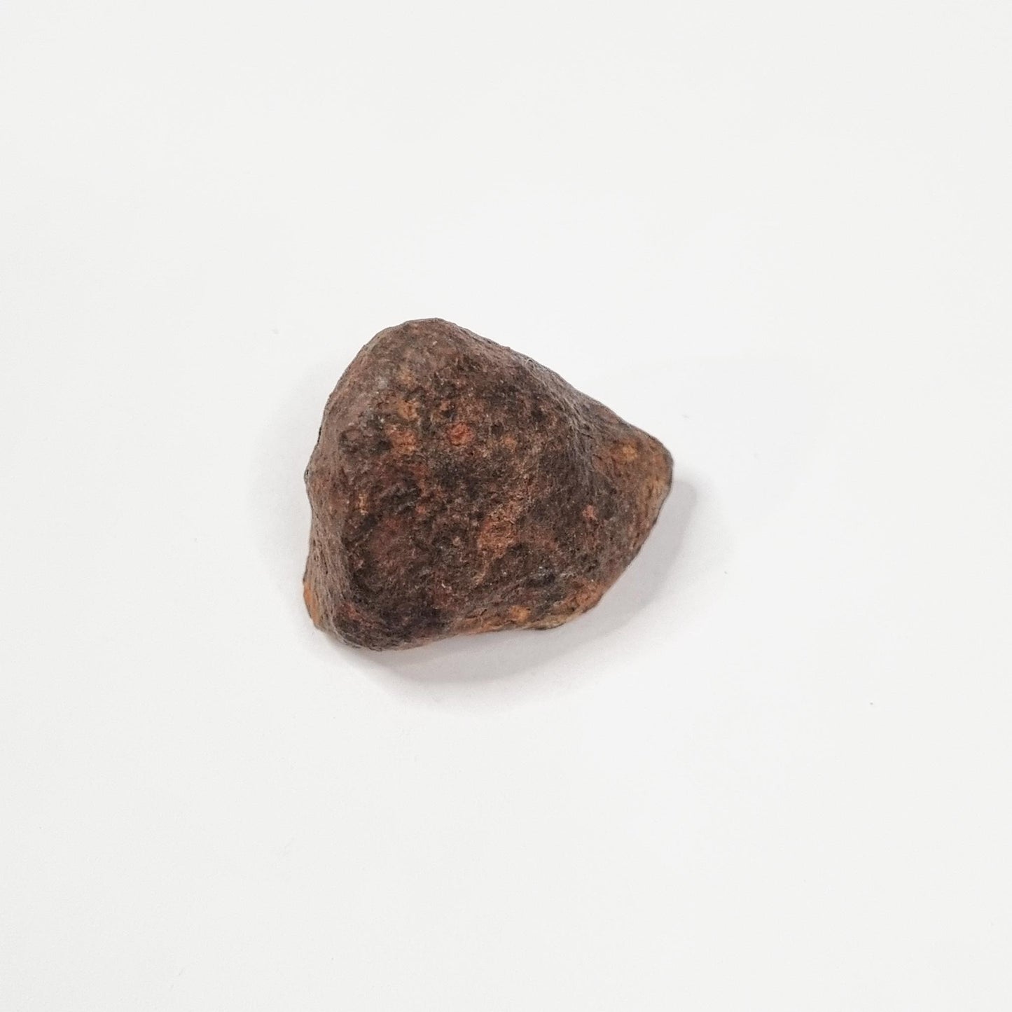 Mundrabilla Meteorite (Western Australia-1911) 35g