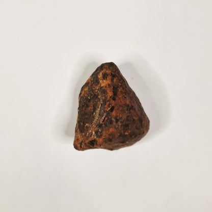 Mundrabilla Meteorite (Western Australia-1911) 35g