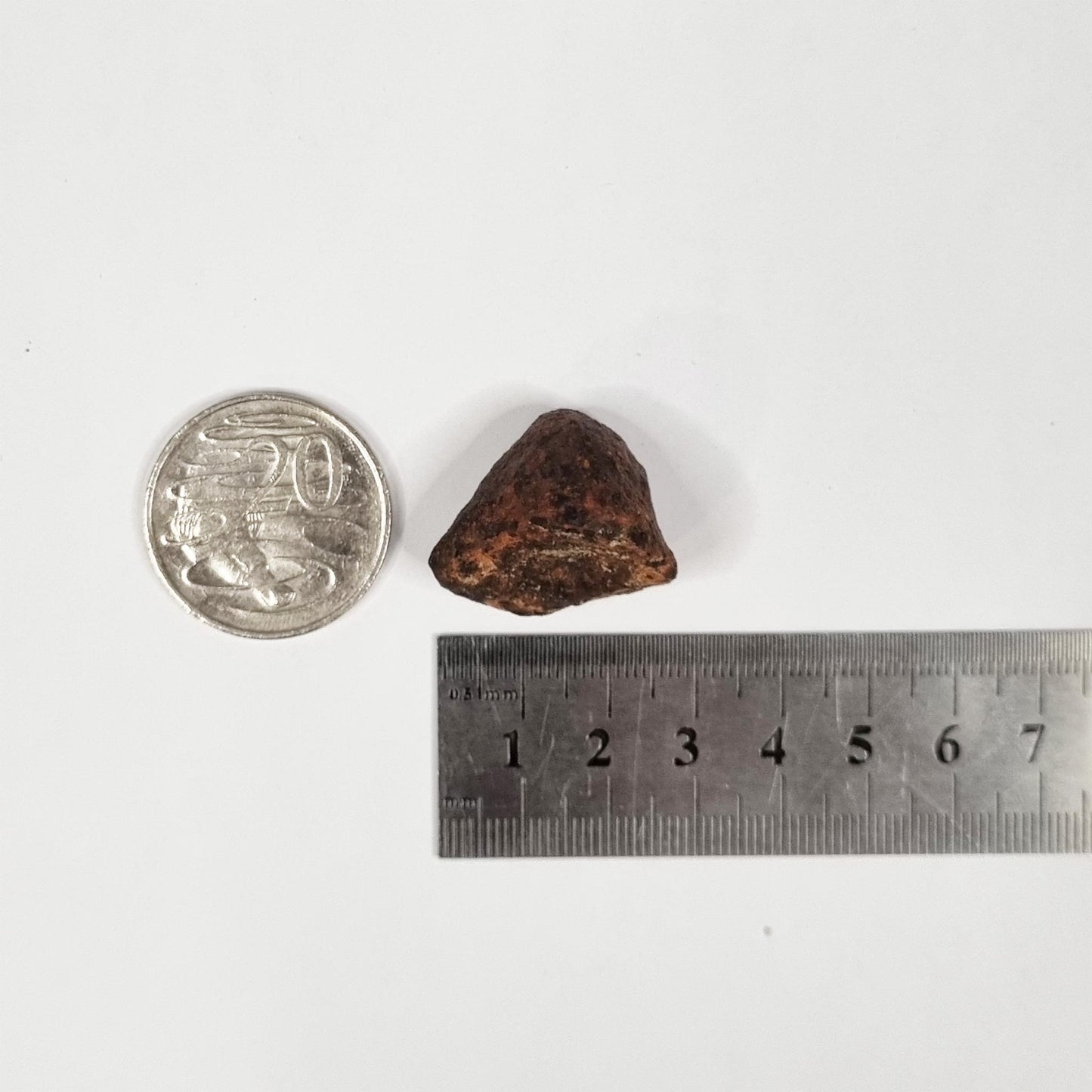 Mundrabilla Meteorite (Western Australia-1911) 35g