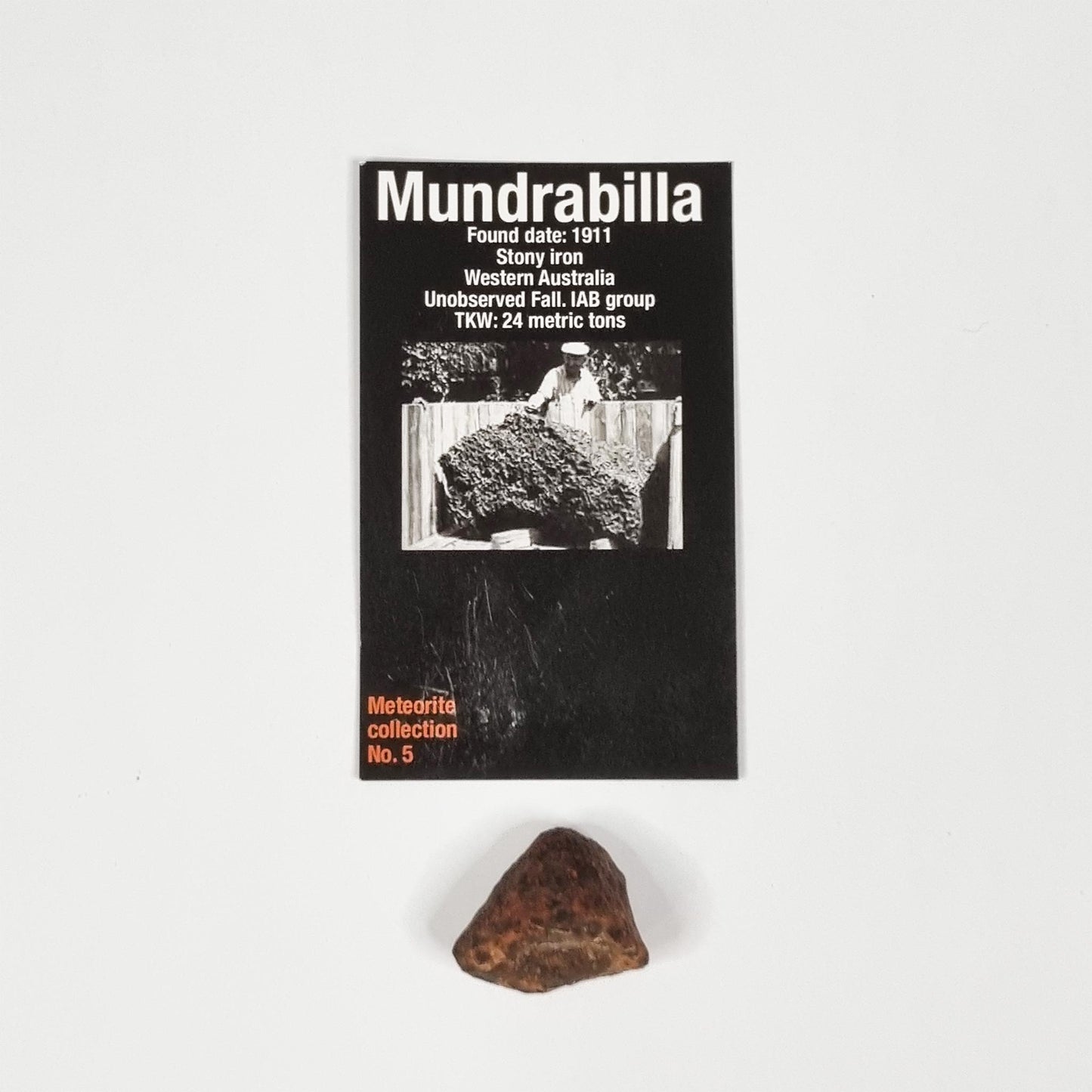 Mundrabilla Meteorite (Western Australia-1911) 35g