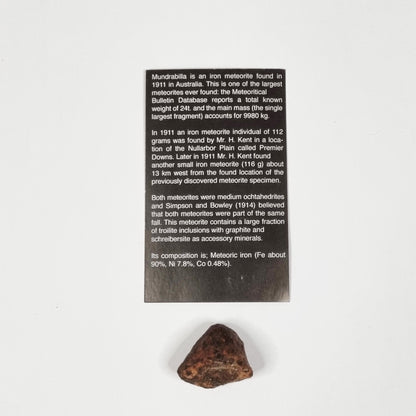 Mundrabilla Meteorite (Western Australia-1911) 35g