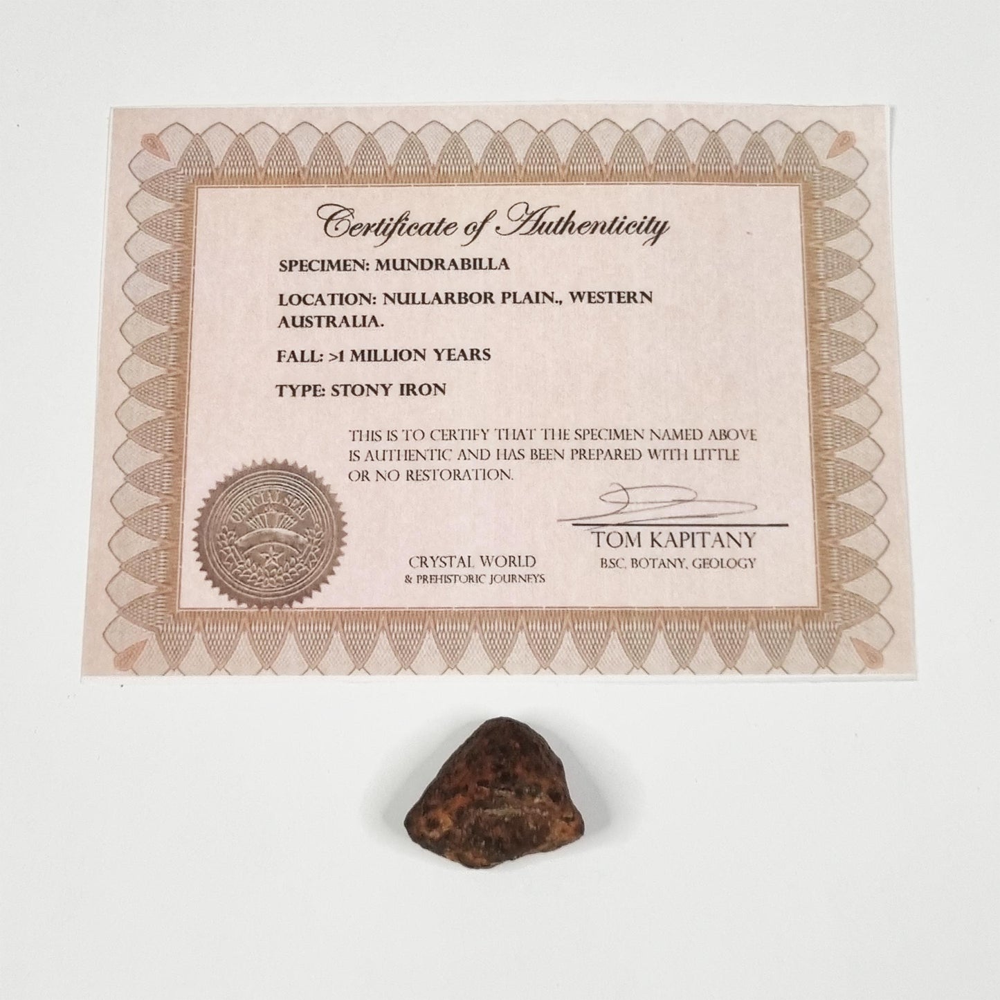 Mundrabilla Meteorite (Western Australia-1911) 35g