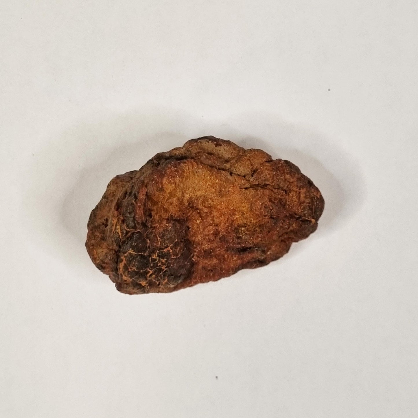 Wolf Creek Shale Ball Meteorite (Western Australia-1947) 60g