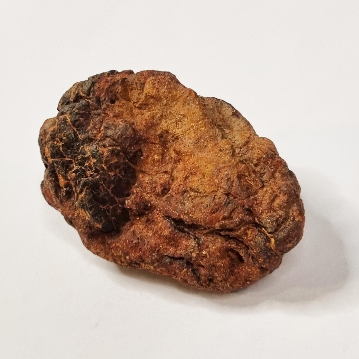 Wolf Creek Shale Ball Meteorite (Western Australia-1947) 60g