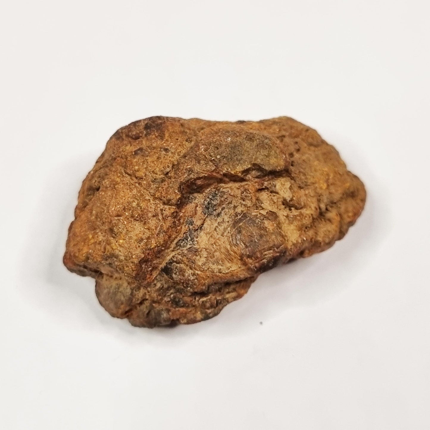 Wolf Creek Shale Ball Meteorite (Western Australia-1947) 60g