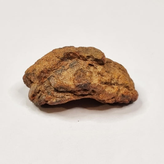 Wolf Creek Shale Ball Meteorite (Western Australia-1947) 60g