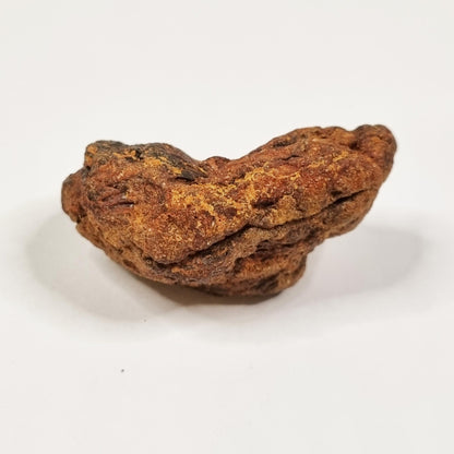 Wolf Creek Shale Ball Meteorite (Western Australia-1947) 60g