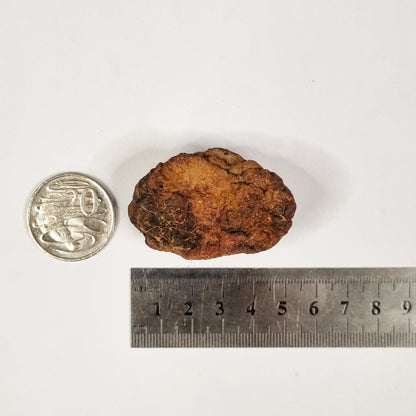 Wolf Creek Shale Ball Meteorite (Western Australia-1947) 60g