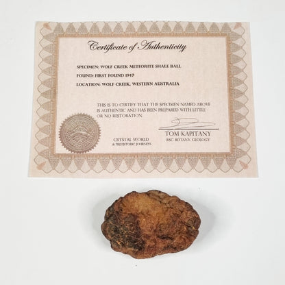 Wolf Creek Shale Ball Meteorite (Western Australia-1947) 60g