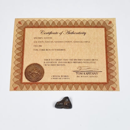 Nantan Meteorite (China- 1516) 5g