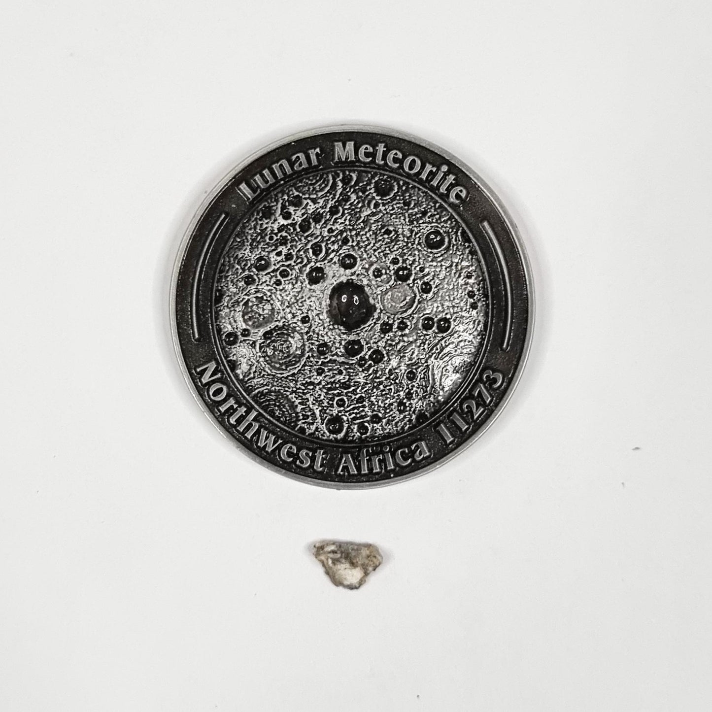 Lunar Meteorite Coin 0178