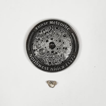 Lunar Meteorite Coin 0178