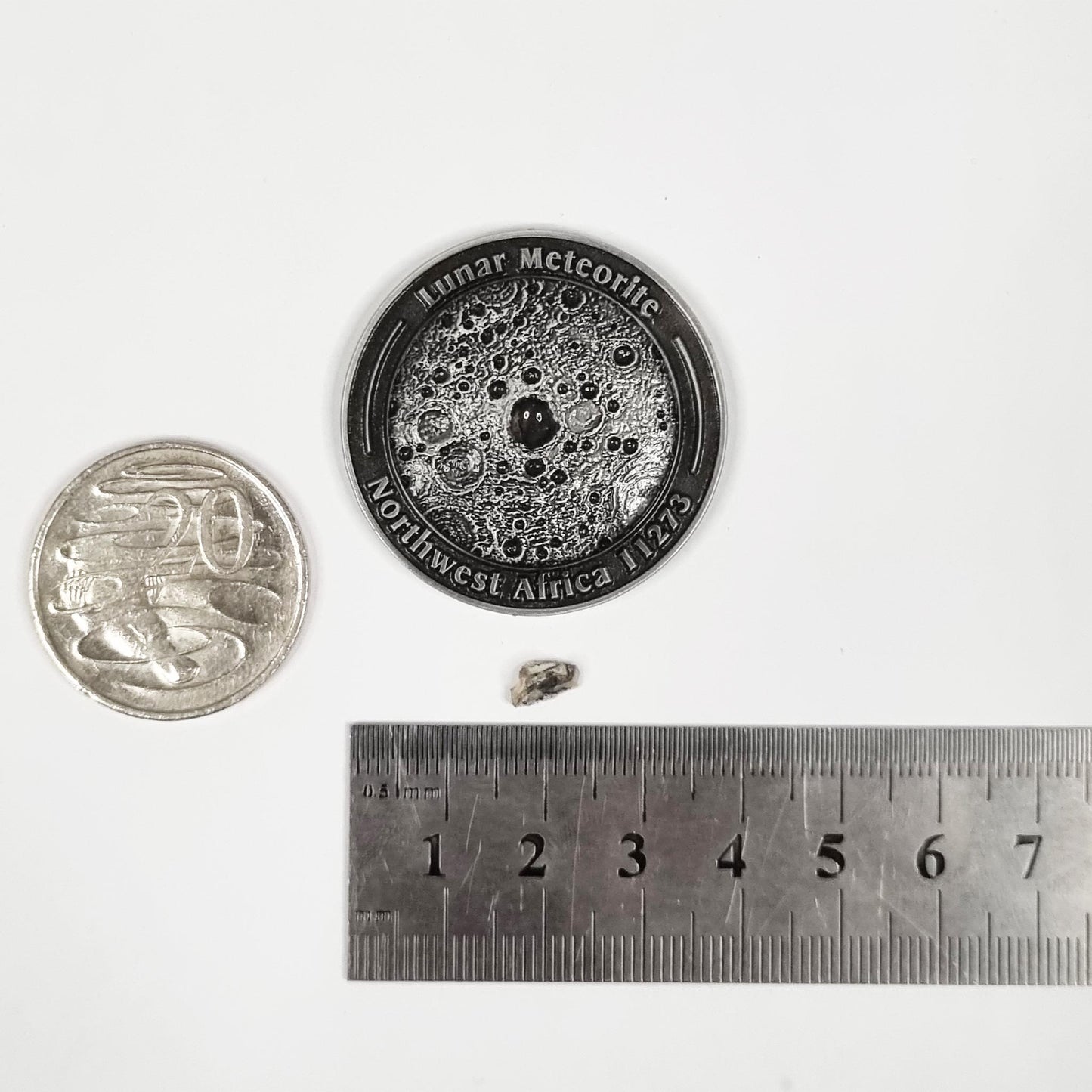 Lunar Meteorite Coin 0178