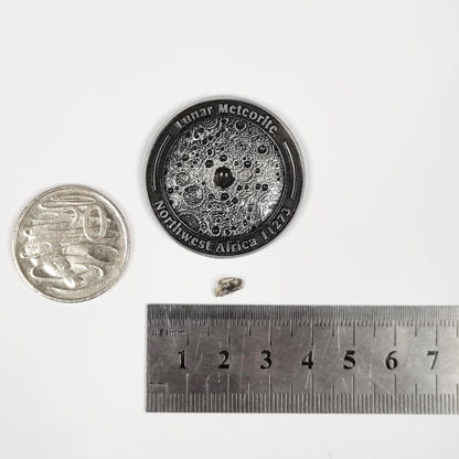 Lunar Meteorite Coin 0178