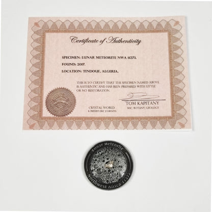 Lunar Meteorite Coin 0178