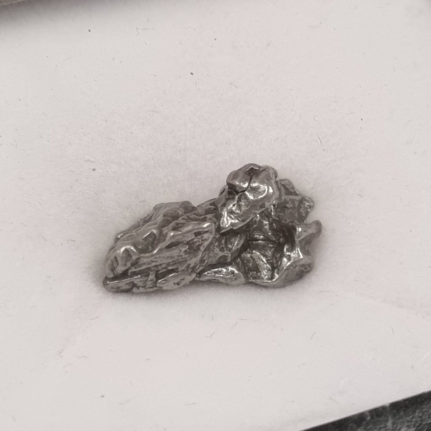 Campo Del Cielo Meteorite (Argentina- 4,500 Years Old)