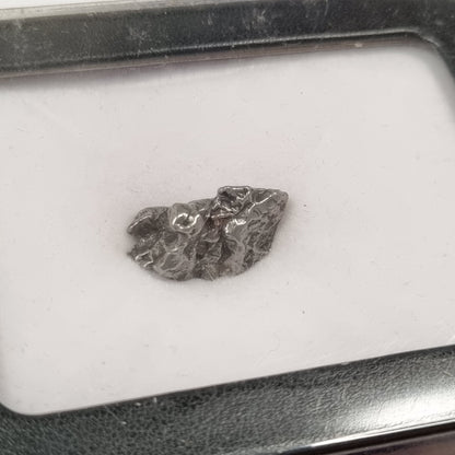 Campo Del Cielo Meteorite (Argentina- 4,500 Years Old)