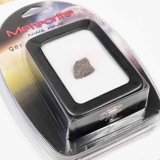 NWA 869 Meteorite (Sahara Desert- 2000)