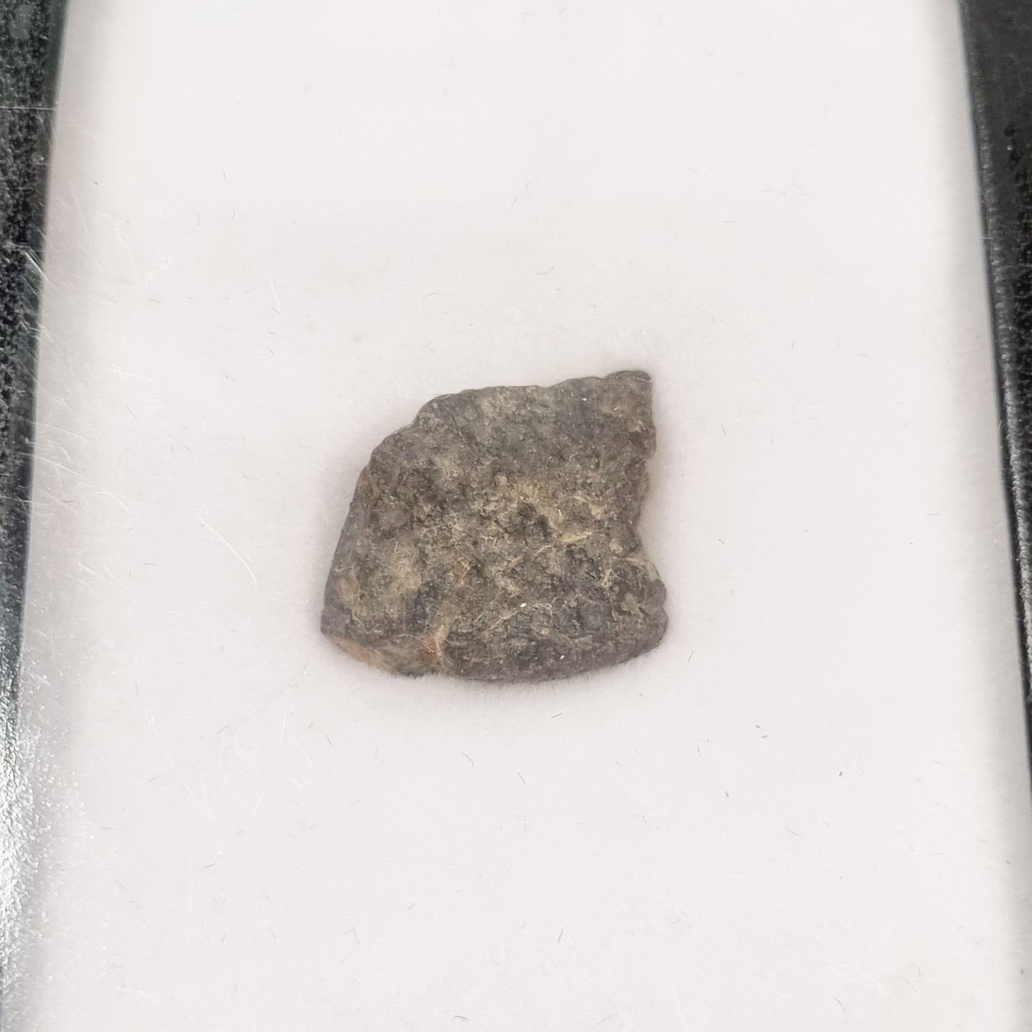 NWA 869 Meteorite (Sahara Desert- 2000)