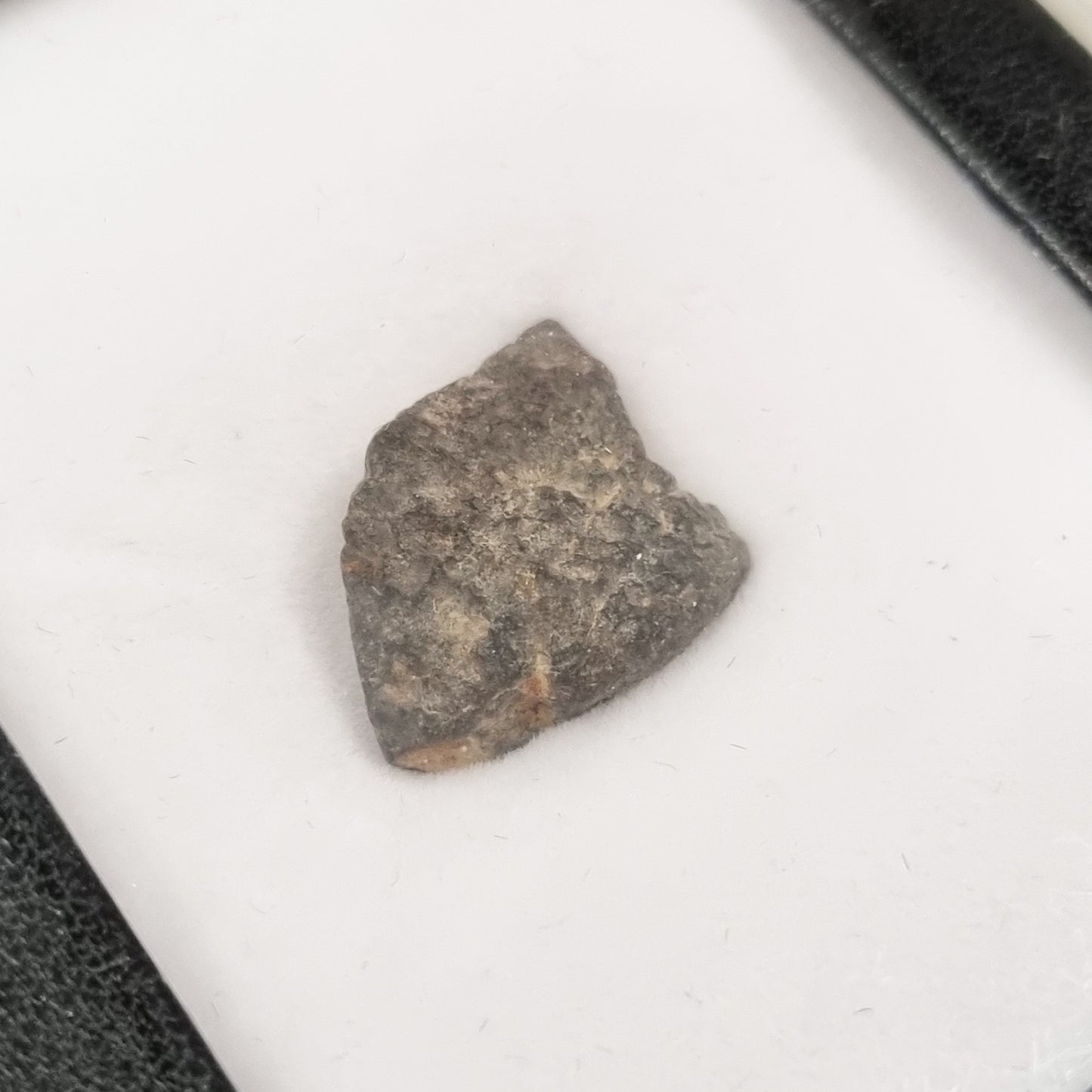NWA 869 Meteorite (Sahara Desert- 2000)