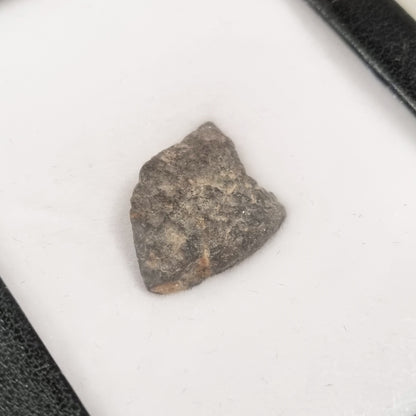NWA 869 Meteorite (Sahara Desert- 2000)