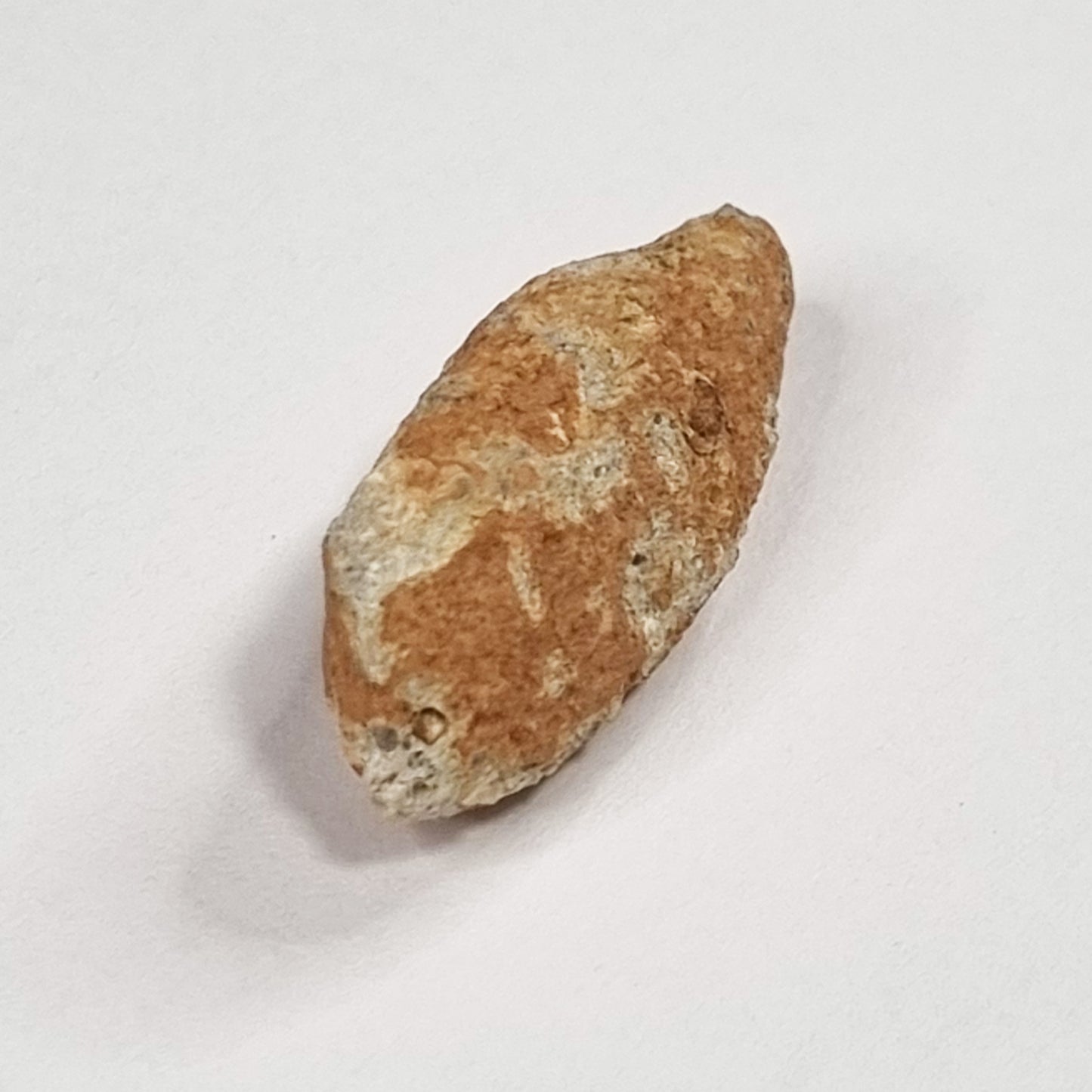 Lunar Meteorite- Rare (3cm)