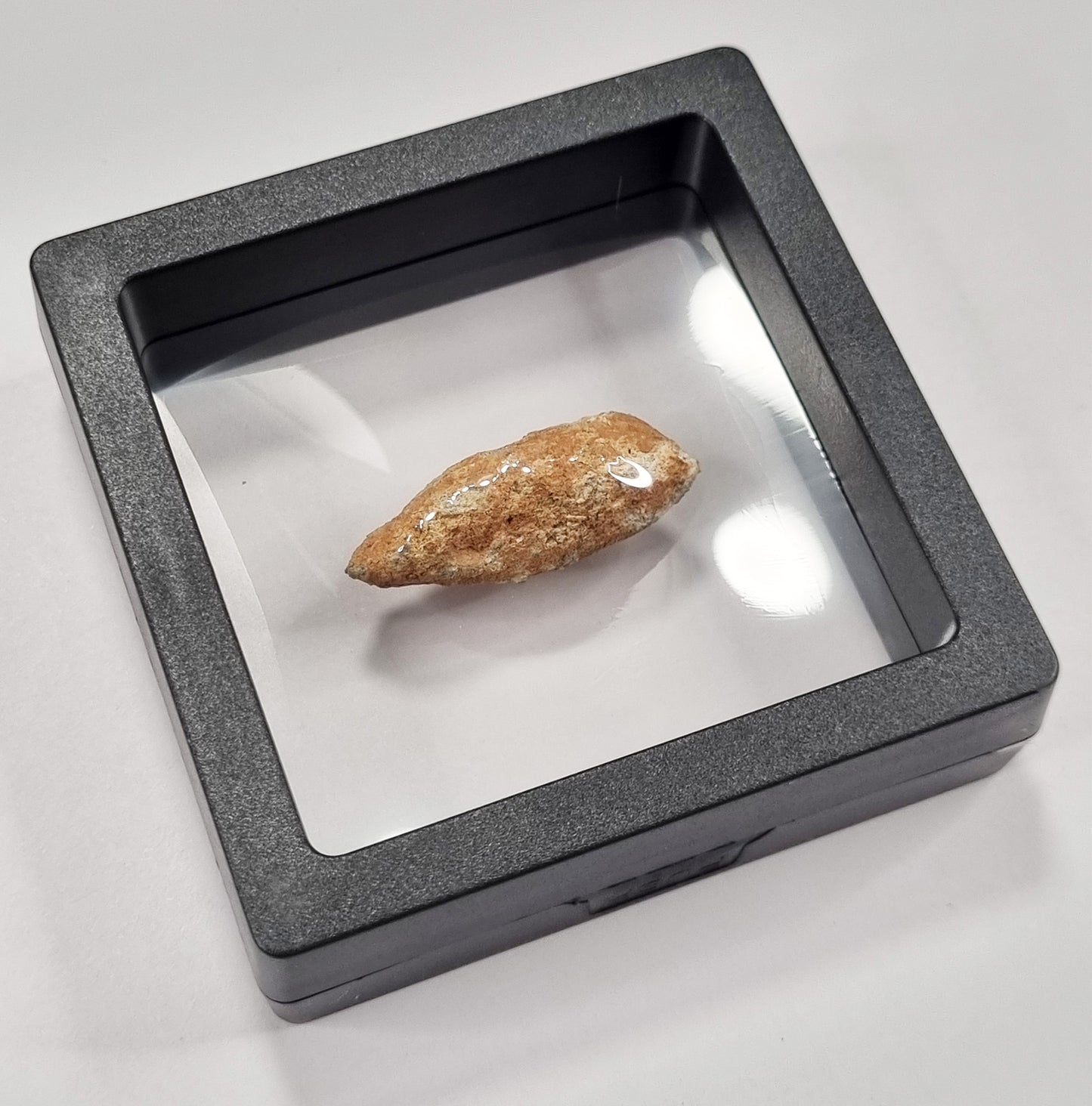 Lunar Meteorite- Rare (3cm)